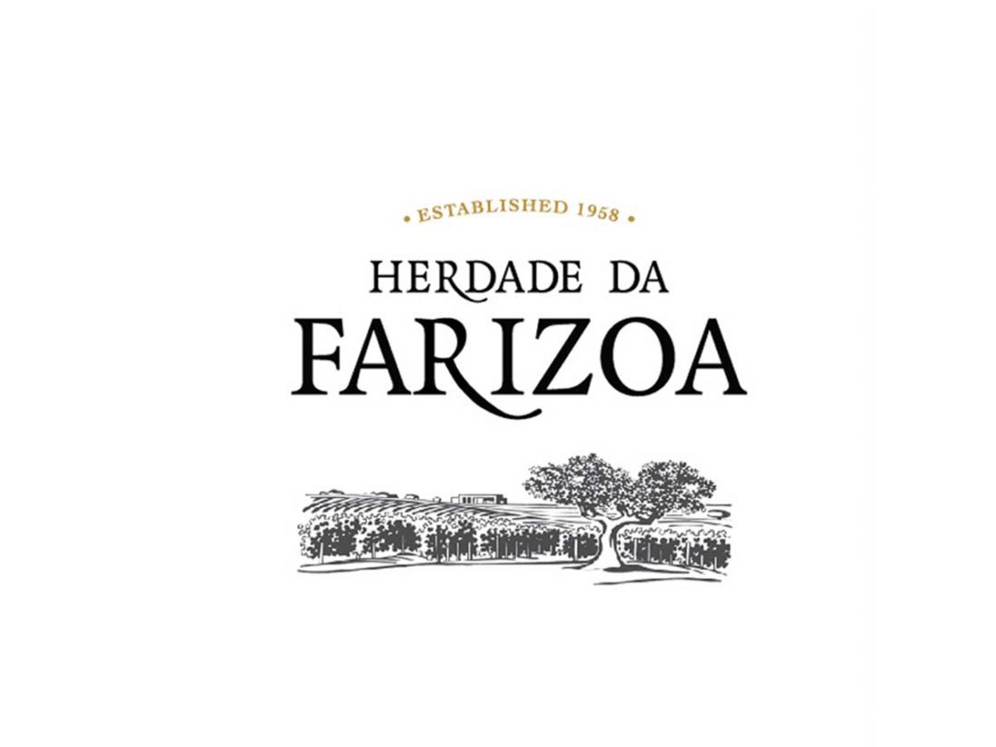 Logotipo e branding de vinho by Wine & Shine - 3